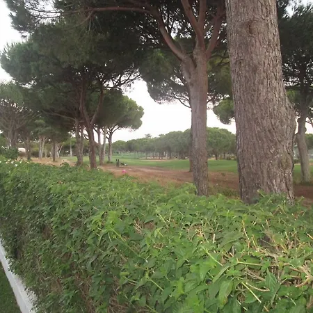 Villa Casa Vila Verde