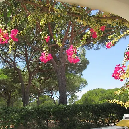 Casa Vila Verde Villa *